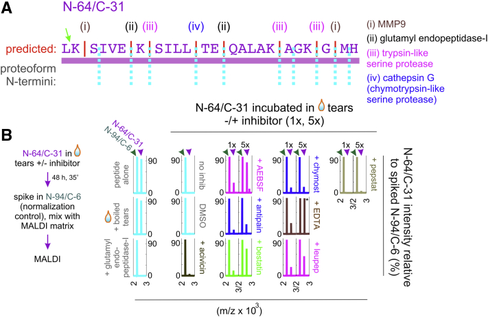 Figure 6