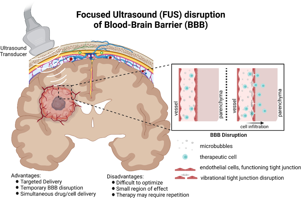 Figure 3: