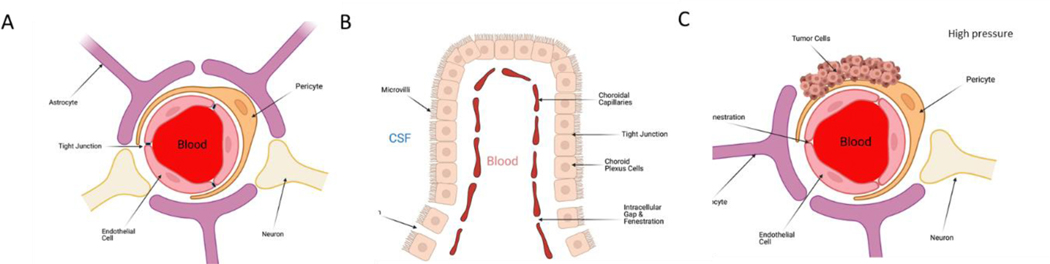 Figure 1: