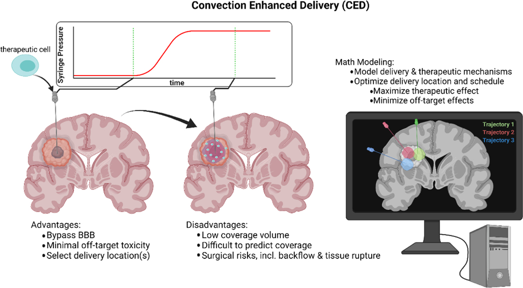 Figure 2: