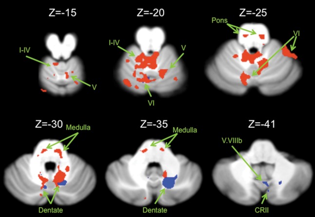 Figure 2.