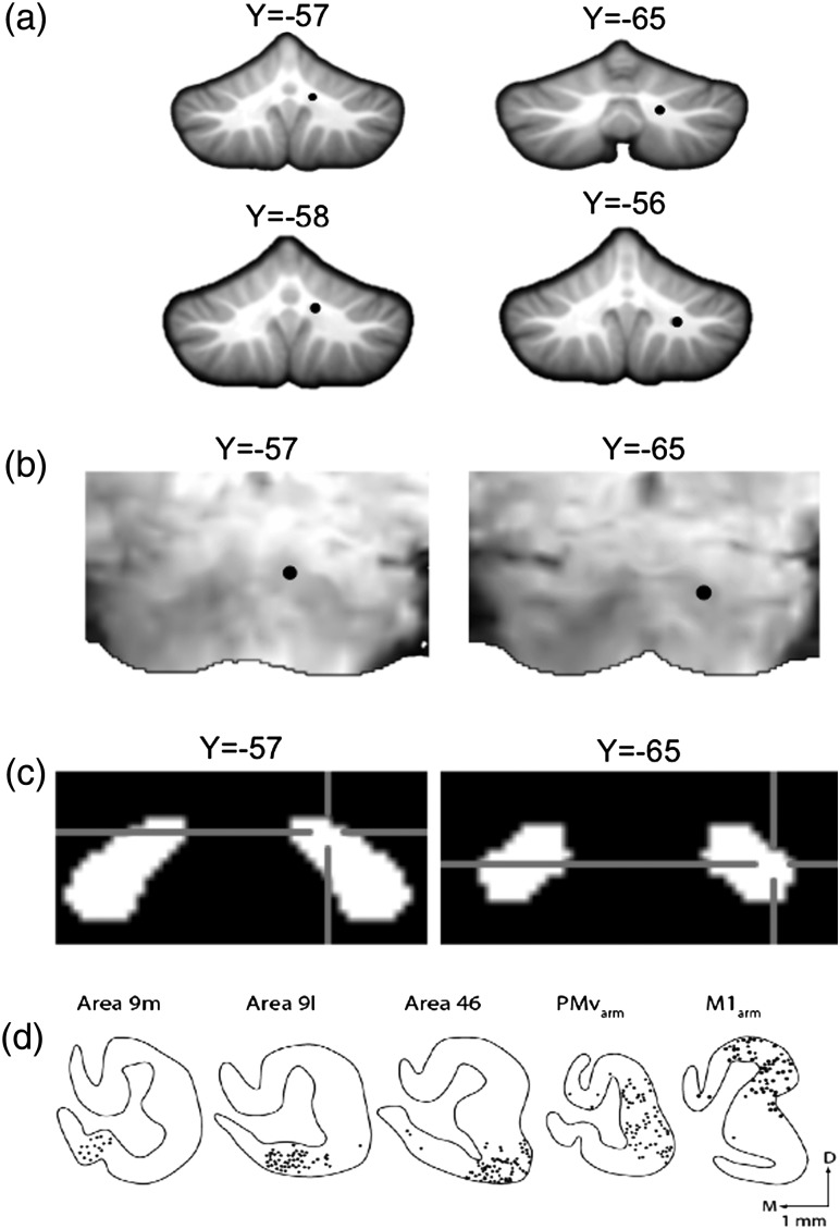 Figure 1.