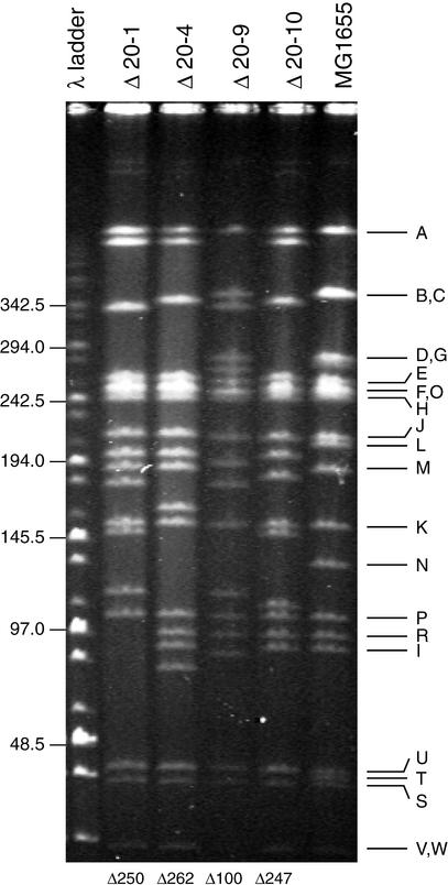 Figure 4.