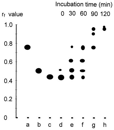 FIG. 5