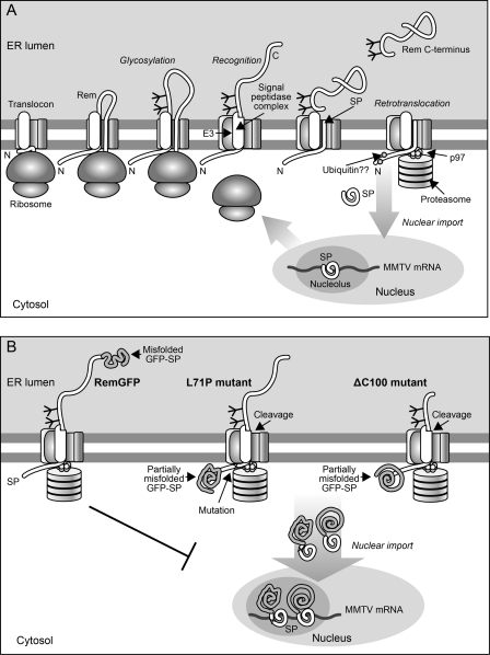 Fig 8