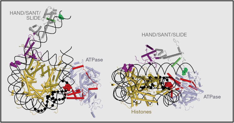 Figure 1