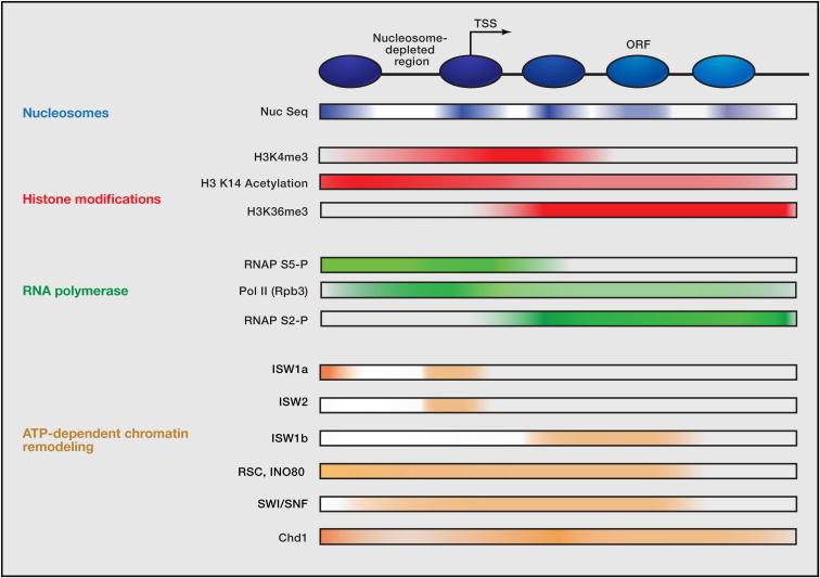 Figure 4