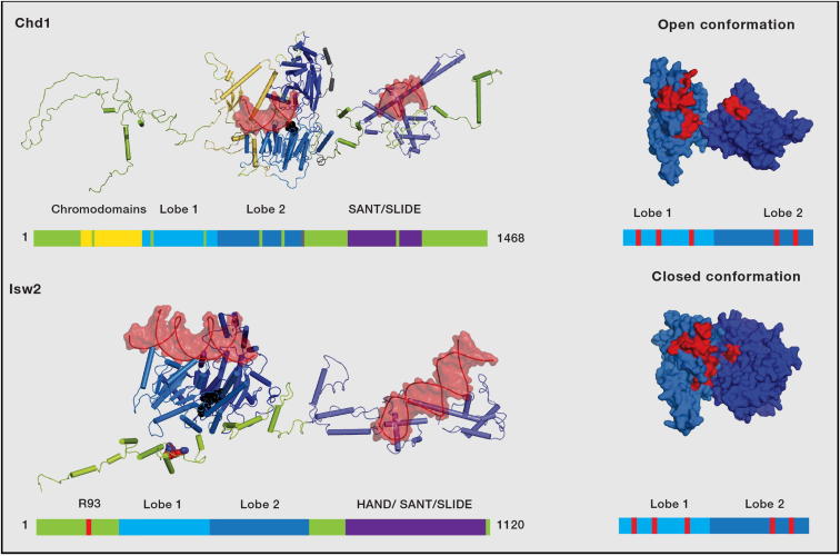 Figure 3