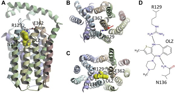 Fig. 6