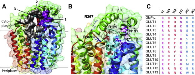 Fig. 2