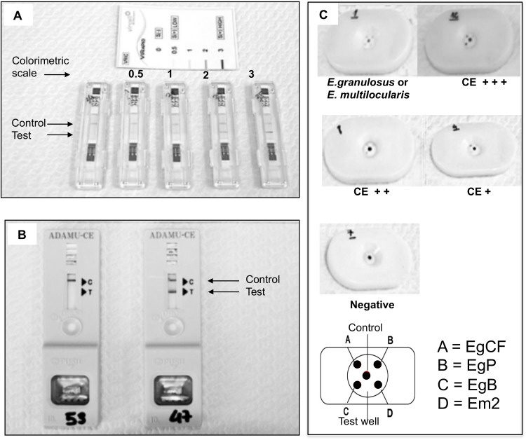 Fig 1