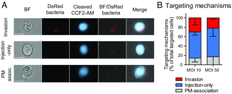 Fig. 2.