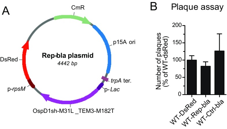 Fig. S4.