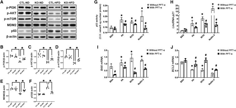 Figure 6