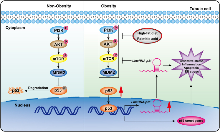 Figure 7