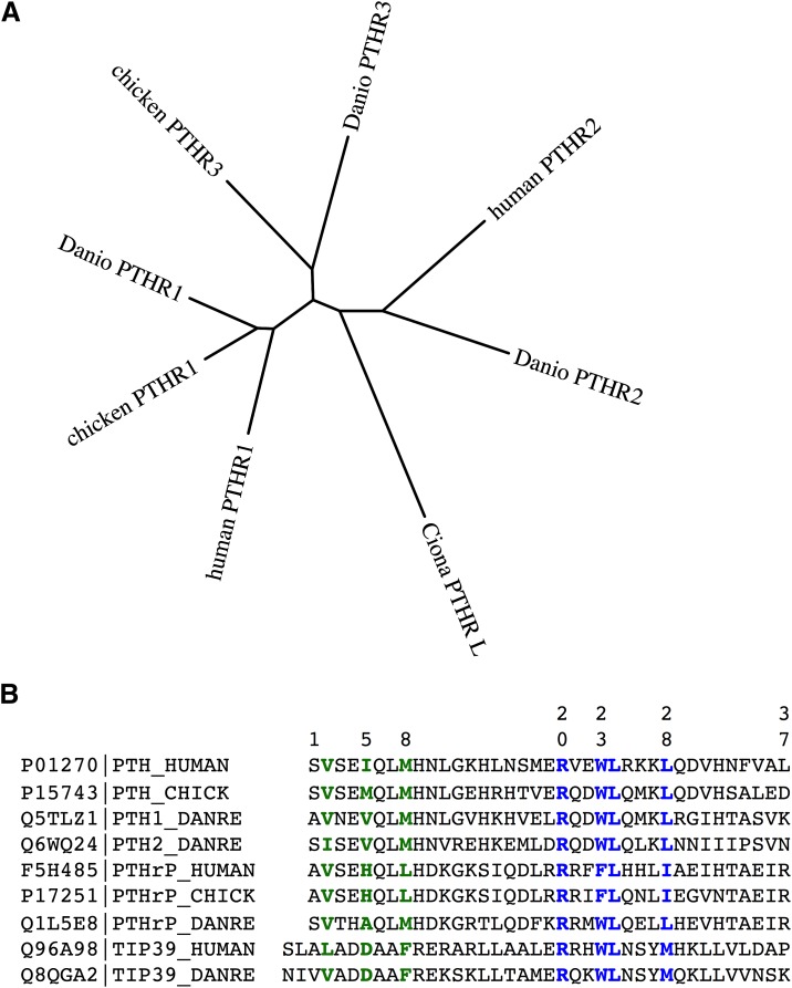 Fig. 6.