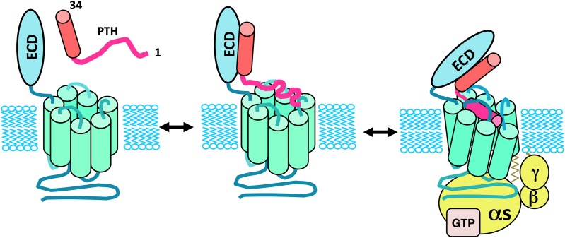 Fig. 7.