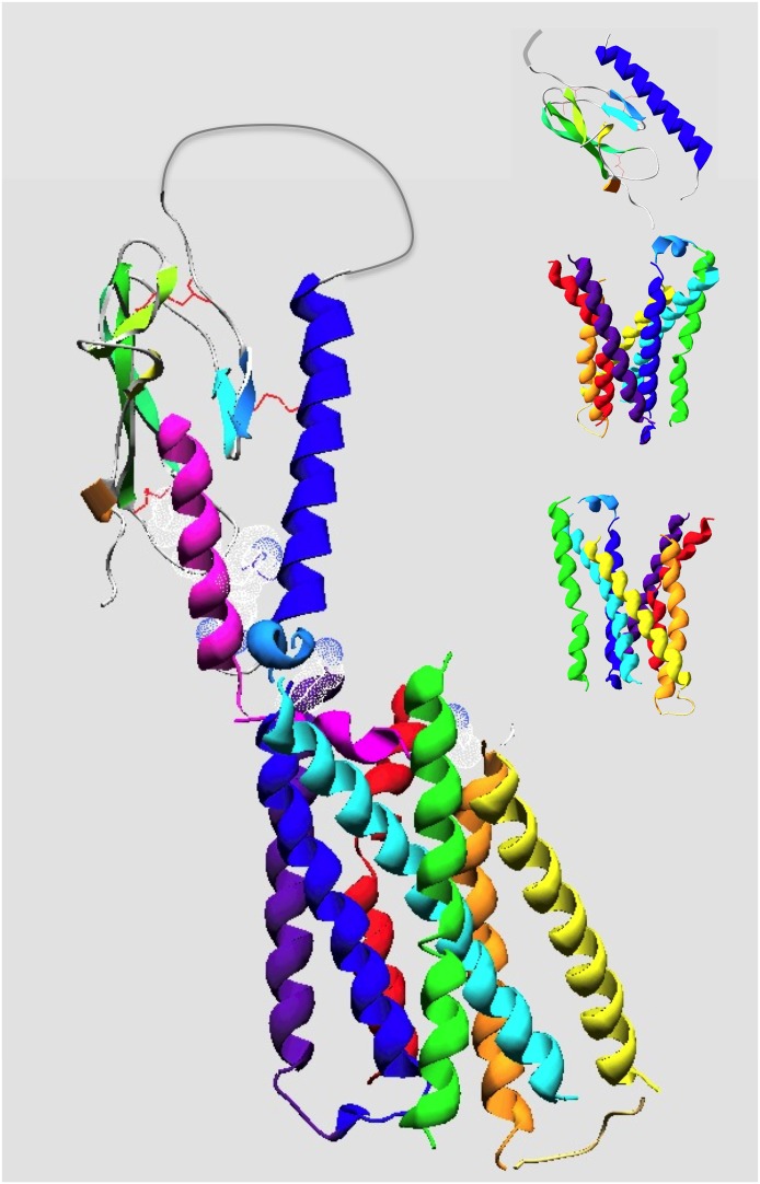 Fig. 8.