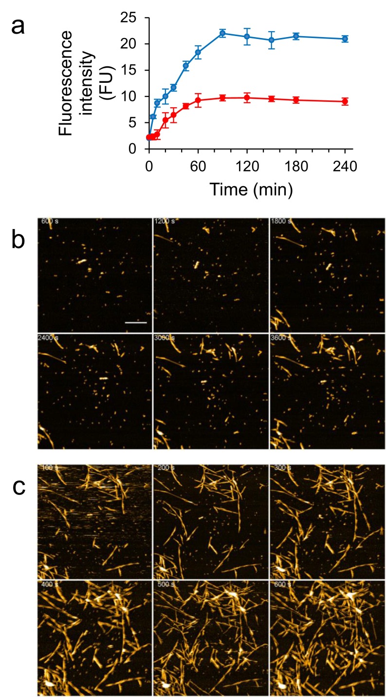 Fig. S5.