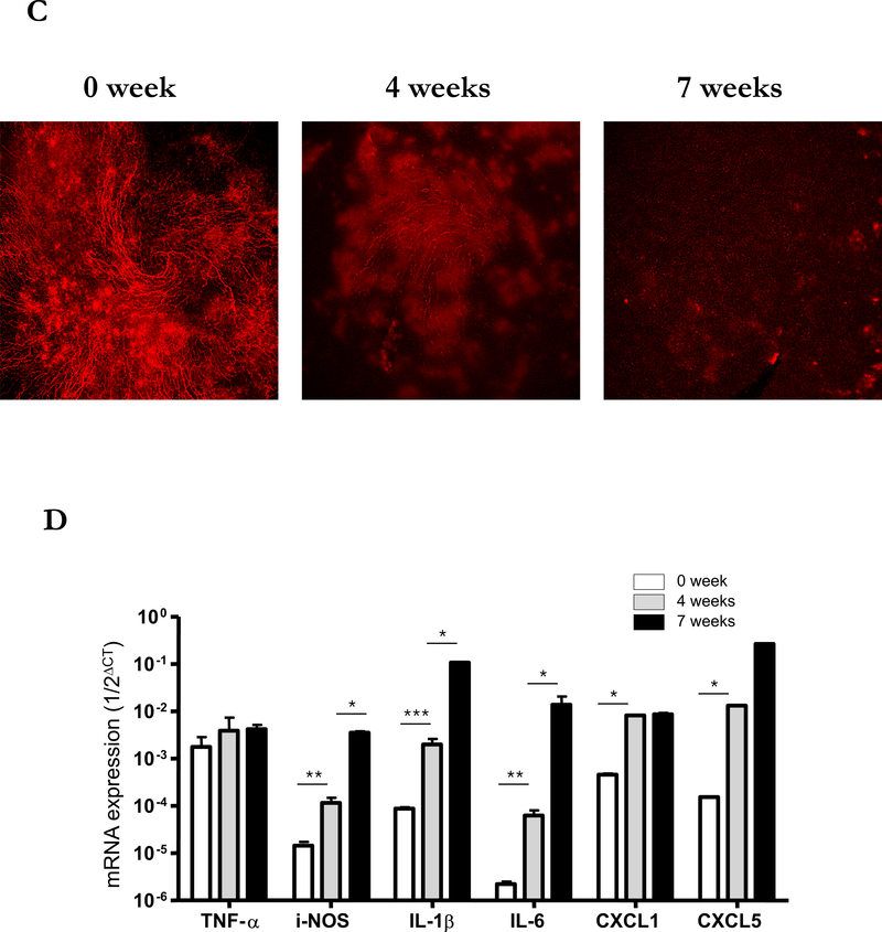 Figure 6.