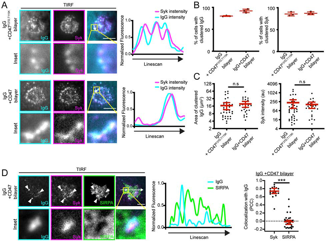 Figure 4: