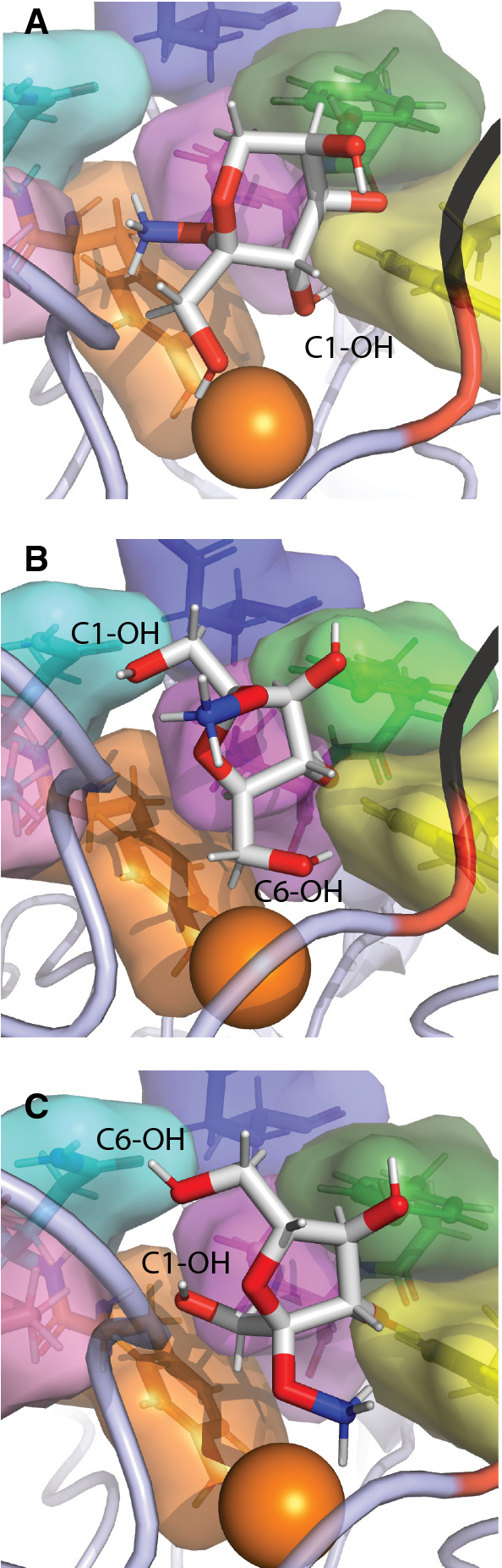 Fig. 8