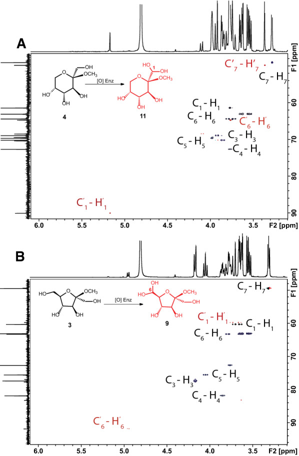 Fig. 7