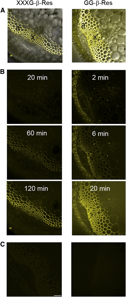 Figure 6.