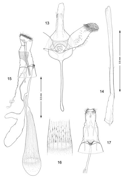 Figures 13–17.