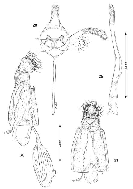 Figures 28–31.