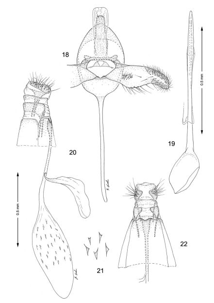 Figures 18–22.