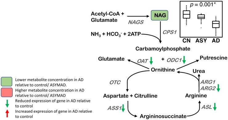 Fig 7