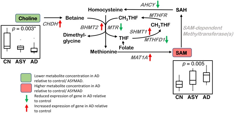 Fig 4