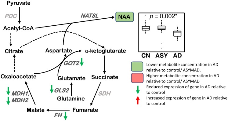 Fig 8