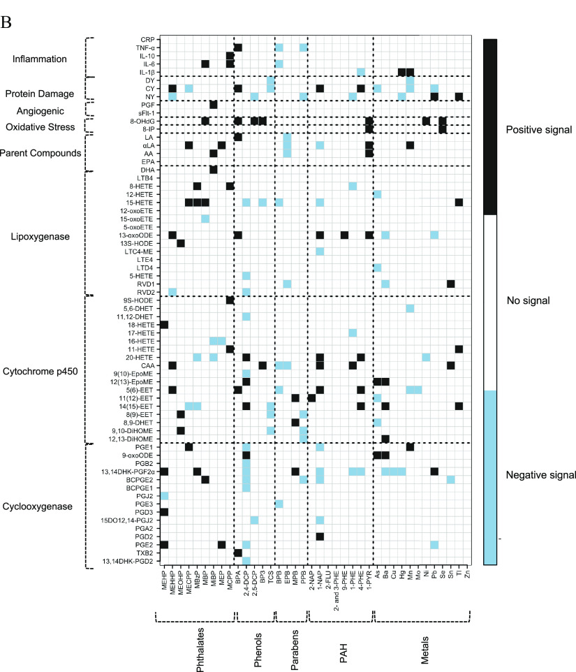 Figure 2A is a heatmap plotting Inflammation: C R P, T N F-alpha, I L-10, I L-6, I L-1 beta; Protein Damage: D Y, C Y, N Y; Angiogenic: P G F and sFlt-1; Oxidative Stress: 8-O H d G and 8-I P; Parent Compounds: L A, alpha L A, A A, E P A, D H A; Lipoxygenase: L T B 4, 8-H E T E, 12-H E T E, 15-H E T E, 12-oxo E T E, 15-oxo E T E, 5-oxo E T E, 13-oxo O D E, 13 S-H O D E, L T C 4 M E, L T E 4, L T D 4, 5-H E T E, R V D 1, R V D 2; Cytochrome p450: 9 S-H O D E, 5,6-D H ET, 11,12-D H E T, 18-H E T E, 17-H E T E, 16-H E T E, 11-H E T E, 20-H E T E, C A A, 9(10)-Epo M E, 12(13)-Epo M E, 5(6)-E E T, 11(12)-E E T, 14(15)-E E T, 8(9)-E E T, 8,9-D H E T, 9,10-Di H O M E, 12,13-Di H O M E; and Cyclooxygenase: P G E 1, 9-oxo O D E, P G B 2, 13,14 D H K-P G F 2 alpha, B C P G E 2, B C P G E 1, P G J 2, P G E 3, P G D 3, 15 D O 12, 14-P G J 2, P G A 2, P G D 2, P G E 2, T X B 2, and 13,14 D H K-P G D 2 (left y-axis) and negative signal to positive signal, ranging as less than 0.01, 0.01 to 0.05, 0.05 to 0.1, 0.1 to 0.2, greater than or equal to 0.2, greater than or equal to 0.2, 0.1 to 0.2, 0.05 to 0.1, 0.01 to 0.05, and less than 0.01 (right y-axis) across Phthalates: M E H P, M E H H P, M E O H P, M E C P P, D E H P, M B z P, M B P, Mi B P, M E P, M C P P; Phenols: B P A, 2,4-D C P, 2,5-D C P, B P 3, T C S; Parabens: B P B, E P B, M P B, P P B; PAH: 2-N A P, 1-N A P, 2-F L U, 2 and 3 P H E, 9-P H E, 1-P H E, 4-P H E, 1-P Y R; Metals: Arsenic, Barium, Copper, Mercury, Manganese, Molybdenum, Nickel, Lead, Selenium, Tin, Thallium, Zinc (x-axis). Figure 2B is a heatmap plotting Inflammation: C R P, T N F-alpha, I L-10, I L-6, I L-1 beta; Protein Damage: D Y, C Y, N Y; Angiogenic: P G F and sFlt-1; Oxidative Stress: 8-O H d G and 8-I P; Parent Compounds: L A, alpha L A, A A, E P A, D H A; Lipoxygenase: L T B 4, 8-H E T E, 12-H E T E, 15-H E T E, 12-oxo E T E, 15-oxo E T E, 5-oxo E T E, 13-oxo O D E, 13 S-H O D E, L T C 4 M E, L T E 4, L T D 4, 5-H E T E, R V D 1, R V D 2; Cytochrome p450: 9 S-H O D E, 5,6-D H ET, 11,12-D H E T, 18-H E T E, 17-H E T E, 16-H E T E, 11-H E T E, 20-H E T E, C A A, 9(10)-Epo M E, 12(13)-Epo M E, 5(6)-E E T, 11(12)-E E T, 14(15)-E E T, 8(9)-E E T, 8,9-D H E T, 9,10-Di H O M E, 12,13-Di H O M E; and Cyclooxygenase: P G E 1, 9-oxo O D E, P G B 2, 13,14 D H K-P G F 2 alpha, B C P G E 2, B C P G E 1, P G J 2, P G E 3, P G D 3, 15 D O 12, 14-P G J 2, P G A 2, P G D 2, P G E 2, T X B 2, and 13,14 D H K-P G D 2 (left y-axis) and negative signal, no signal, and positive signal (right y-axis) across Phthalates: M E H P, M E H H P, M E O H P, M E C P P, M B z P, M B P, Mi B P, M E P, M C P P; Phenols: B P A, 2,4-D C P, 2,5-D C P, B P 3, T C S; Parabens: B P B, E P B, M P B, P P B; PAH: 2-N A P, 1-N A P, 2-F L U, 2- and 3 P H E, 9-P H E, 1-P H E, 4-P H E, 1-P Y R; Metals: Arsenic, Barium, Copper, Mercury, Manganese, Molybdenum, Nickel, Lead, Selenium, Tin, Thallium, Zinc (x-axis).