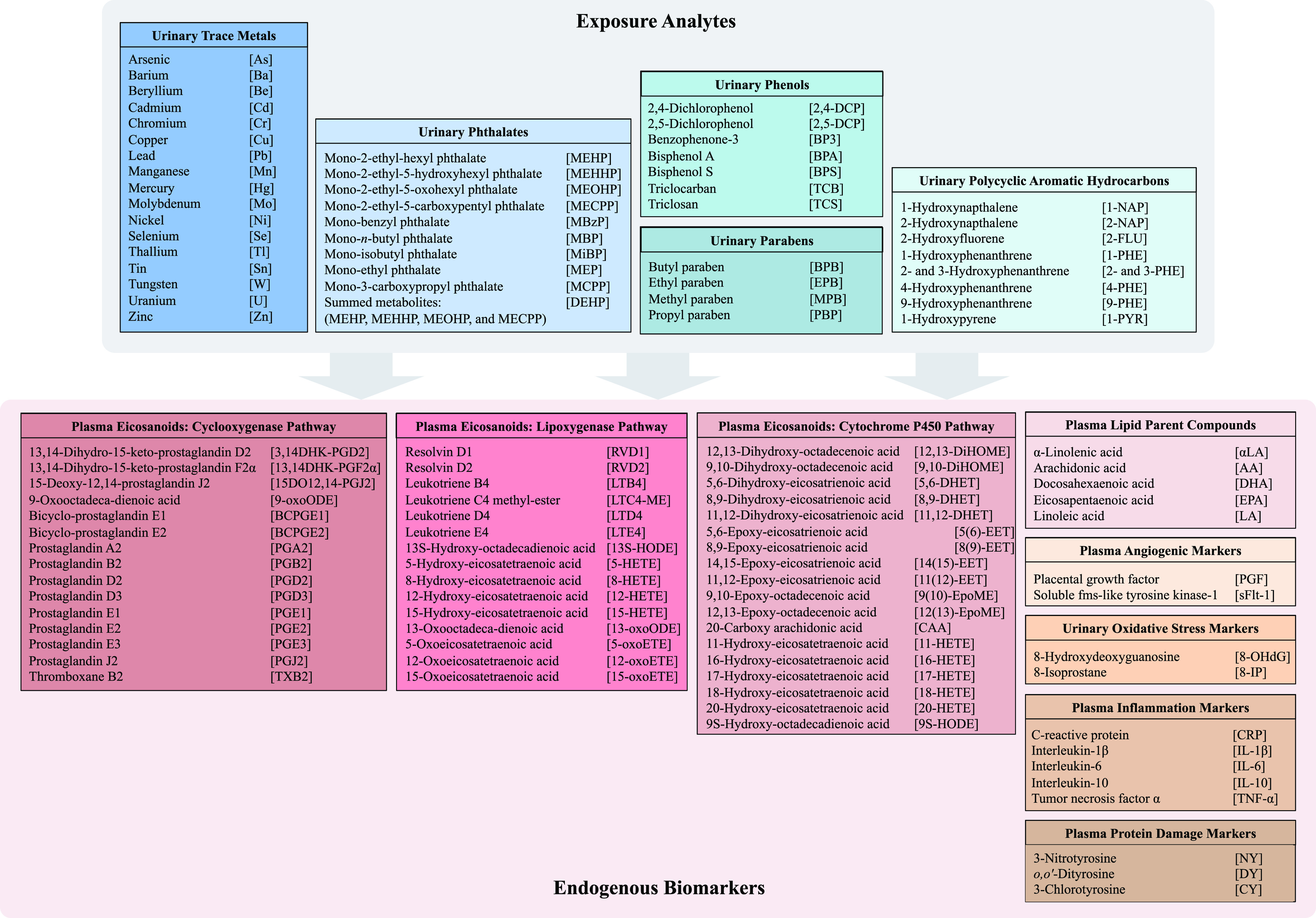 Figure 1 is a chart showing the abbreviations for exposure analytes and endogenous biomarkers. Exposure analytes has five categories, namely, Urinary Trace Metals: Arsenic [A s], Barium [B a], Beryllium [B e], Cadmium [C d], Chromium [C r], Copper [C u], Lead [P b], Manganese [M n], Mercury [H g], Molybdenum [M o], Nickel [N i], Selenium [S e], Thallium [T l], Tin [S n], Tungsten [W], Uranium [U], and Zinc [Z n]; Urinary Phthalates: Mono-2-ethyl-hexyl phthalate [M E H P], Mono-2-ethyl-5-hydroxyhexyl phthalate [M E H H P], Mono-2-ethyl-5-oxohexyl phthalate [M E O H P], Mono-2-ethyl-5-carboxypentyl phthalate [M E C P P], Mono-benzyl phthalate [M B z P], Mono-n-butyl phthalate [M B P], Mono-isobutyl phthalate [M I B P], Mono-ethyl phthalate [M E P], Mono-3-carboxypropyl phthalate [M C P P], Summed metabolites (M E H P, M E H H P, M E O H P, and M E C P P): [D E H P]; Urinary Phenols: 2,4-Dichlorophenol [2,4-D C P], 2,5-Dichlorophenol [2,5-D C P], Benzophenone-3 [B P 3], Bisphenol A [B P A], Bisphenol S [B P S], Triclocarban [T C B], and Triclosan [T C S]; Urinary Parabens: Butyl paraben [B P B], Ethyl paraben [E P B], Methyl paraben [M P B], and Propyl paraben [P B P]; and Urinary Polycyclic Aromatic Hydrocarbons: 1-Hydroxynapthalene [1-N A P], 2-Hydroxynapthalene [2-N A P], 2-Hydroxyfluorene [2-F L U], 1-Hydroxyphenanthrene [1-P H E], 2- and 3-Hydroxyphenanthrene [2- and 3-P H E], 4-Hydroxyphenanthrene [4-P H E], 9-Hydroxyphenanthrene [9-P H E], and 1-Hydroxypyrene [1-P Y R]. Endogenous biomarkers has seven categories, namely, Plasma Eicosanoids: Cyclooxygenase Pathway: 13,14-Dihydro-15-keto-prostaglandin D 2 [3,14 D H K-P G D2], 13,14-Dihydro-15-keto-prostaglandin F 2 alpha [13,14D H K-P G F2 alpha], 15-Deoxy-12,14-prostaglandin J 2 [15D O 12,14-P G J2], 9-Oxooctadeca-dienoic acid [9-oxo O D E], Bicyclo-prostaglandin E 1 [B C P G E 1], Bicyclo-prostaglandin E2 [B C P G E 2], Prostaglandin A2 [P G A 2], Prostaglandin B2 [P G B 2], Prostaglandin D 2 [P G D2], Prostaglandin D 3 [P G D 3], Prostaglandin E 1 [P G E 1], Prostaglandin E 2 [P G E 2], Prostaglandin E 3 [P G E 3], Prostaglandin J 2 [P G J 2], and Thromboxane B 2 [T X B 2]; Plasma Eicosanoids: Lipoxygenase Pathway: Resolvin D 1 [R V D 1], Resolvin D 2 [R V D 2], Leukotriene B 4 [L T B 4], Leukotriene C 4 methyl-ester [L T C 4-M E], Leukotriene D 4 [L T D 4, Leukotriene E 4 [L T E 4], 13S-Hydroxy-octadecadienoic acid [13 S-H O D E], 5-Hydroxy-eicosatetraenoic acid [5-H E T E], 8-Hydroxy-eicosatetraenoic acid [8-H E T E], 12-Hydroxy-eicosatetraenoic acid [12-H E T E], 15-Hydroxy-eicosatetraenoic acid [15-H E T E], 13-Oxooctadeca-dienoic acid [13-oxoODE], 5-Oxoeicosatetraenoic acid [5-oxo E T E], 12-Oxoeicosatetraenoic acid [12-oxoE T E], and 15-Oxoeicosatetraenoic acid [15-oxoE T E]; Plasma Eicosanoids: Cytochrome P450 Pathway: 12,13-Dihydroxy-octadecenoic acid [12,13-Di H O M E], 9,10-Dihydroxy-octadecenoic acid [9,10-Di H O M E], 5,6-Dihydroxy-eicosatrienoic acid [5,6-D H E T], 8,9-Dihydroxy-eicosatrienoic acid [8,9-D H E T], 11,12-Dihydroxy-eicosatrienoic acid [11,12-D H E T], 5,6-Epoxy-eicosatrienoic acid [5(6)-E E T], 8,9-Epoxy-eicosatrienoic acid [8(9)-E E T], 14,15-Epoxy-eicosatrienoic acid [14(15)-E E T], 11,12-Epoxy-eicosatrienoic acid [11(12)-E E T], 9,10-Epoxy-octadecenoic acid [9(10)-Epo M E], 12,13-Epoxy-octadecenoic acid [12(13)-Epo M E], 20-carboxy arachidonic acid [C A A], 11-Hydroxy-eicosatetraenoic acid [11-H E T E], 16-Hydroxy-eicosatetraenoic acid [16-H E T E], 17-Hydroxy-eicosatetraenoic acid [17-H E T E], 18-Hydroxy-eicosatetraenoic acid [18-H E T E], 20-Hydroxy-eicosatetraenoic acid [20-H E T E], and 9S-Hydroxy-octadecadienoic acid [9S-H O D E]; Plasma Lipid Parent Compounds: alpha-Linolenic acid [alpha L A], Arachidonic acid [A A], Docosahexaenoic acid [D H A], Eicosapentaenoic acid [E P A], and Linoleic acid [L A]; Plasma Angiogenic Markers: Placental growth factor [P G F] and Soluble fms-like tyrosine kinase-1 [sFlt-1]; Urinary Oxidative Stress Markers: 8-Hydroxydeoxyguanosine [8-O H d G] and 8-Isoprostane [8-I P]; Plasma Inflammation Markers: C-reactive protein [C R P], Interleukin-1 beta [I L-1 beta], Interleukin-6 [I L-6], Interleukin-10 [I L-10], and Tumor necrosis factor α [T N F- alpha]; and Plasma Protein Damage Markers: 3 nitrotyrosine [N Y], o,o′-Dityrosine [D Y], and 3-Chlorotyrosine [C Y].