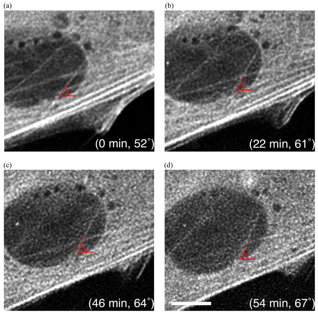 Figure 11