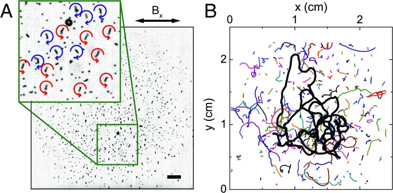 Fig. 1.