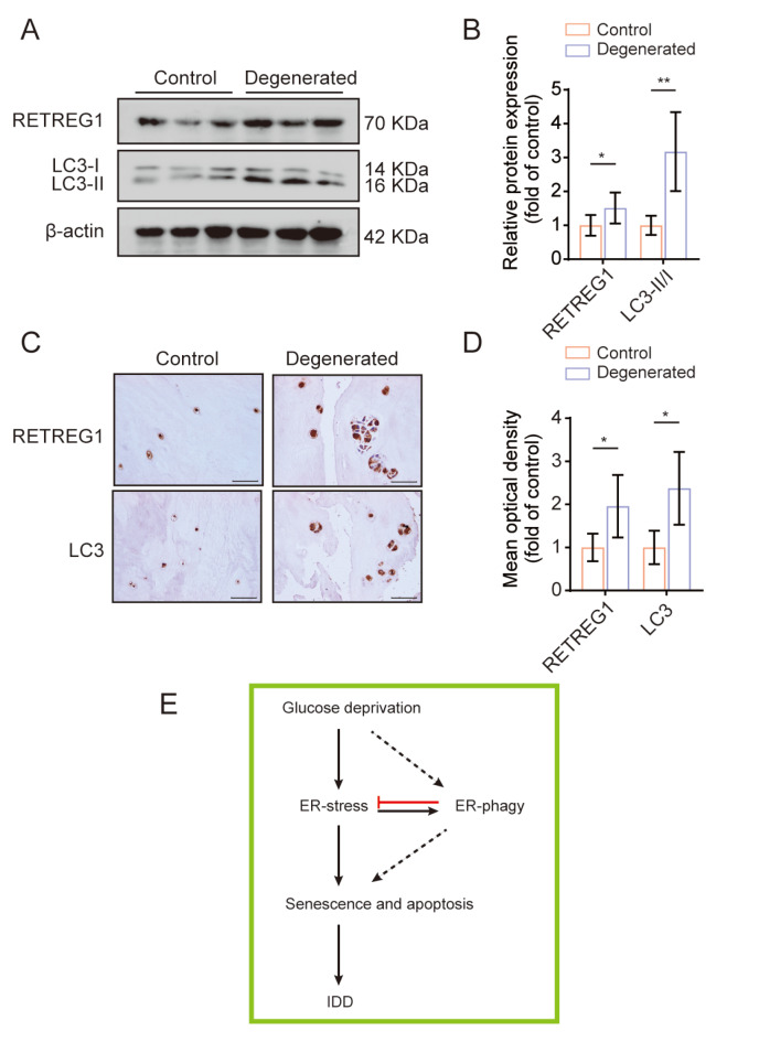 
Figure7
