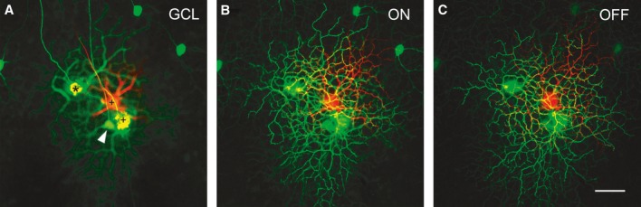 Figure 7