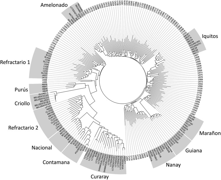 Fig. 3