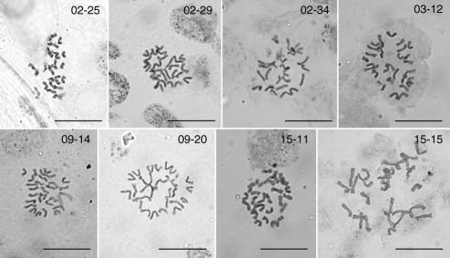 Fig. 7.