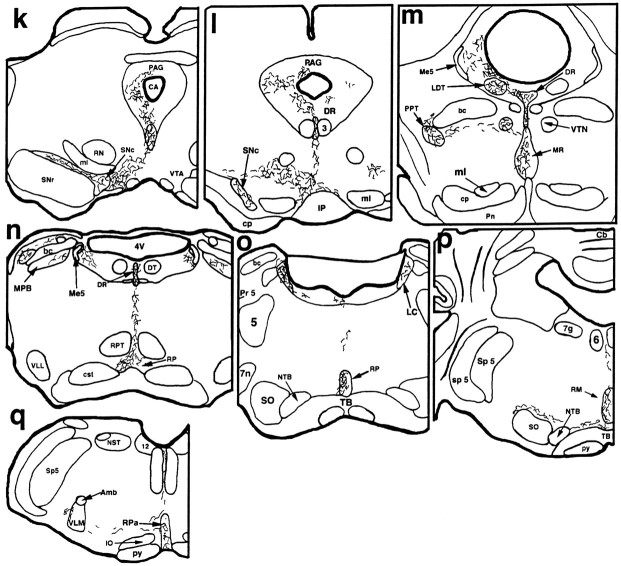 Fig. 5.