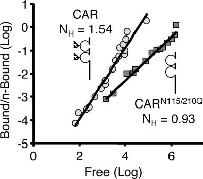 FIG. 6.