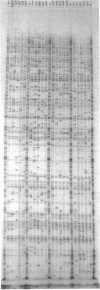 353