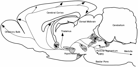 Fig. (3)