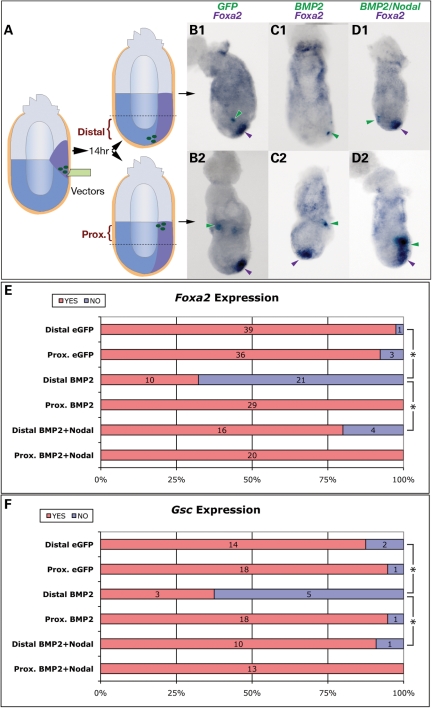 Figure 4.