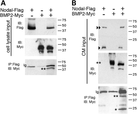 Figure 6.