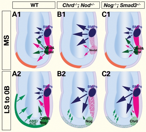 Figure 7.