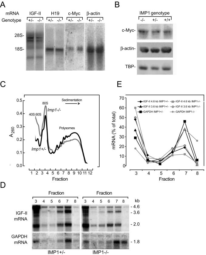 FIG. 8.